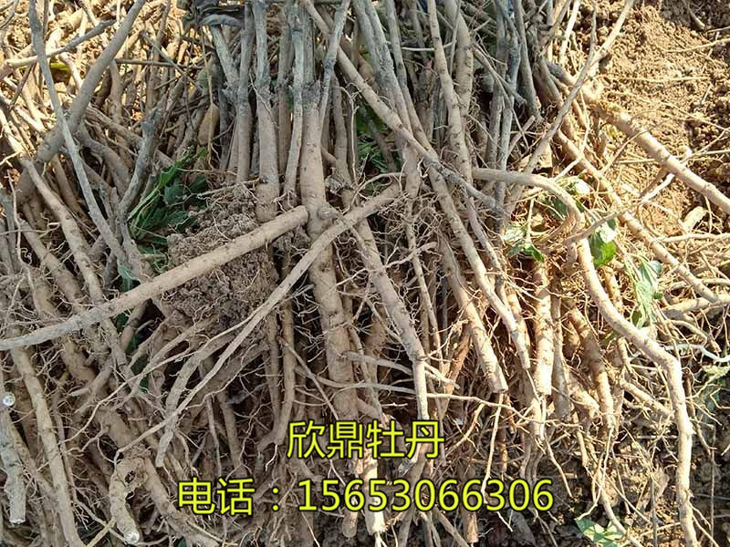 戳我试试