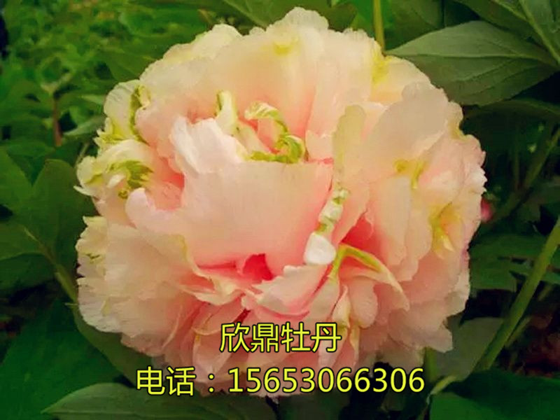 戳我试试